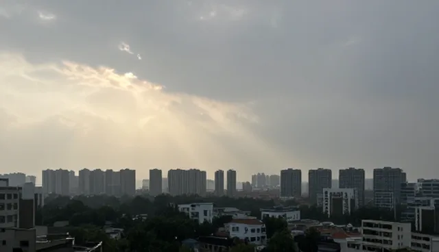 仓储配送体系中设备维护对效率的影响分析